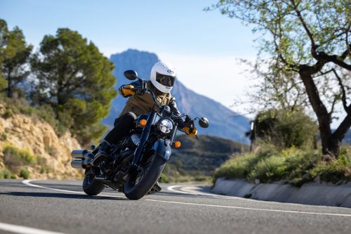 Indian-Motorcycle-Chief-Vintage-BRUMMM-01