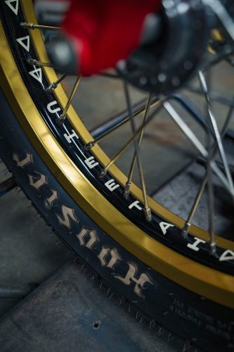 ©Hermann-Koepf-2024-Cheetah-DSC04328-BRUMMM-Magazine