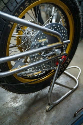 ©Hermann-Koepf-2024-Cheetah-DSC04329-BRUMMM-Magazine