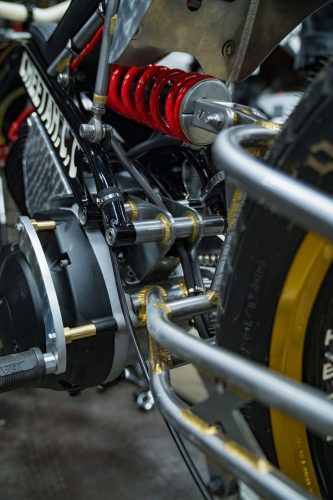 ©Hermann-Koepf-2024-Cheetah-DSC04338-BRUMMM-Magazine