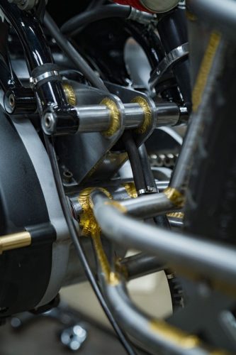 ©Hermann-Koepf-2024-Cheetah-DSC04340-BRUMMM-Magazine