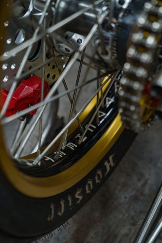 ©Hermann-Koepf-2024-Cheetah-DSC04413-BRUMMM-Magazine