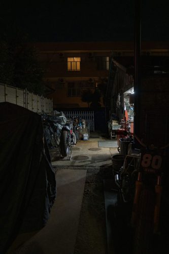 ©Hermann-Koepf-2024-Cheetah-DSC04425-BRUMMM-Magazine